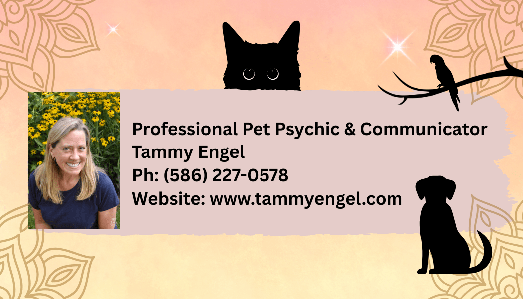 Tammy Engel, Pet Communication 